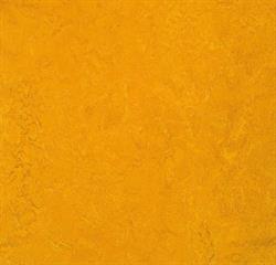 Forbo Marmoleum Fresco Linoleum 3125 Golden Sunset